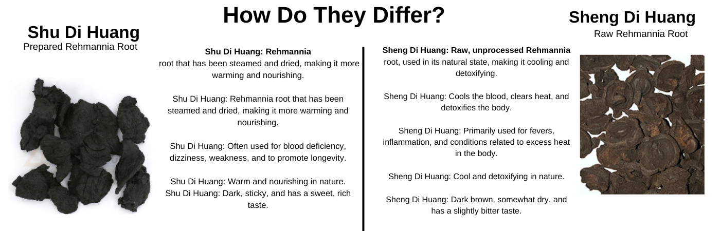 what is the difference between prepared rehmannia and raw rehmannia